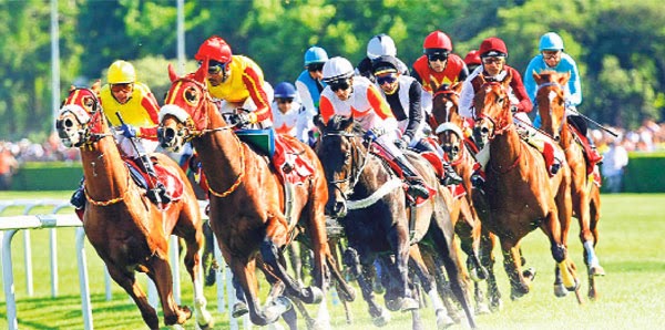 At Yarışı Sonuçları Bursa Koşusu 26 Aralık 2018 Çarşamba